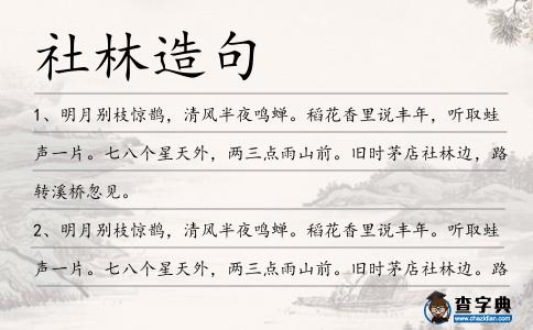 社林造句
