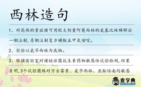 西林造句