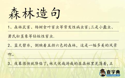 森林造句