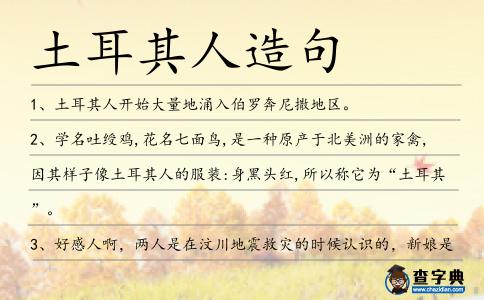 土耳其人造句
