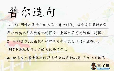 普爾造句