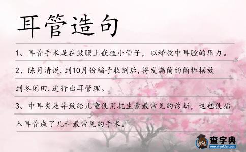 耳管造句