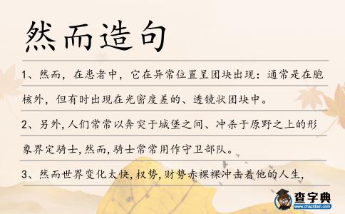 然而造句