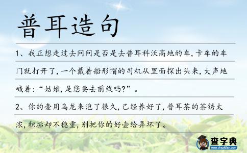 普耳造句