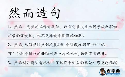然而造句
