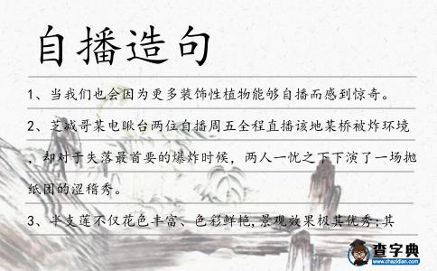 自播造句