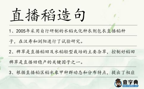 直播稻造句