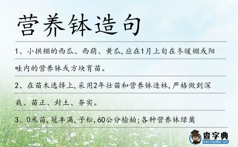 營(yíng)養(yǎng)缽造句