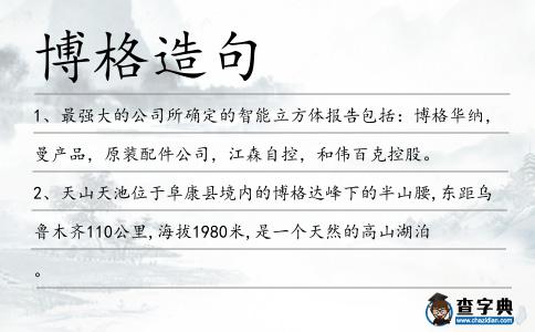 博格造句