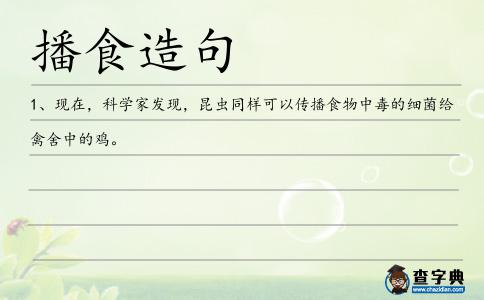 播食造句