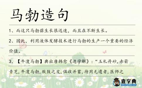 馬勃造句