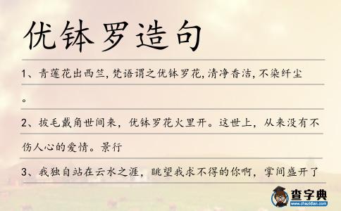 優缽羅造句