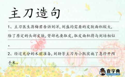 主刀造句