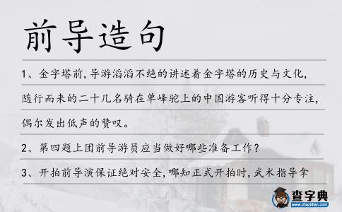前導(dǎo)造句