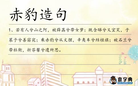 赤豹造句