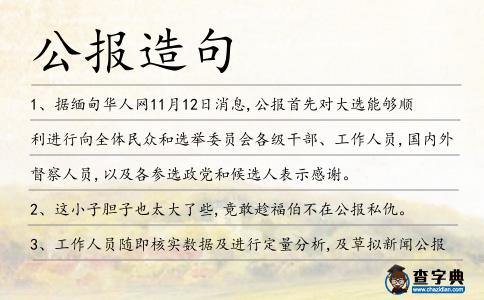 公報造句
