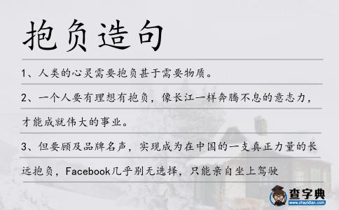抱負造句