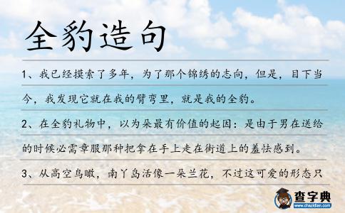 全豹造句