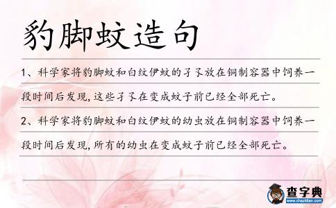 豹腳蚊造句