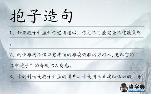 抱子造句