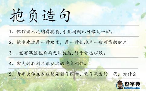抱負造句