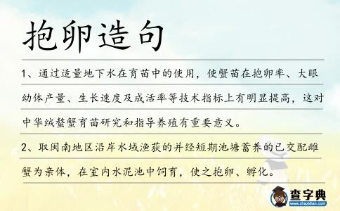 抱卵造句