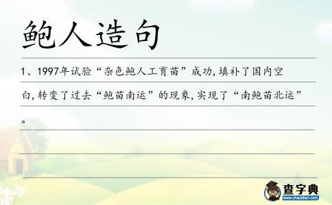 鮑人造句