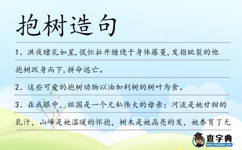 抱樹造句