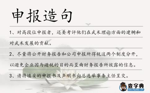 申報造句