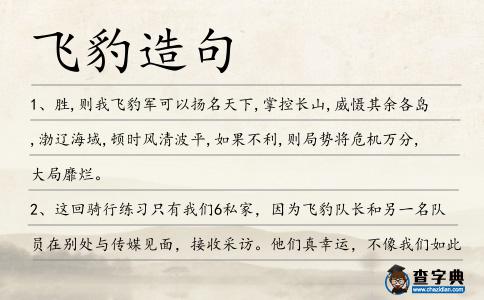 飛豹造句