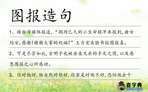 圖報(bào)造句