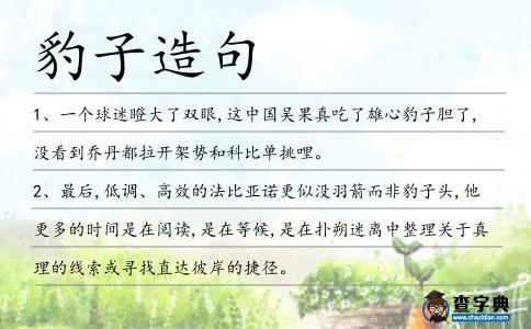 豹子造句