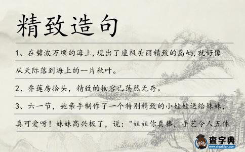 精致造句