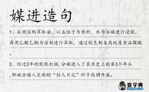媒進(jìn)造句