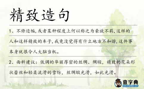 精致造句