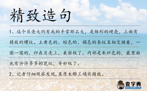精致造句