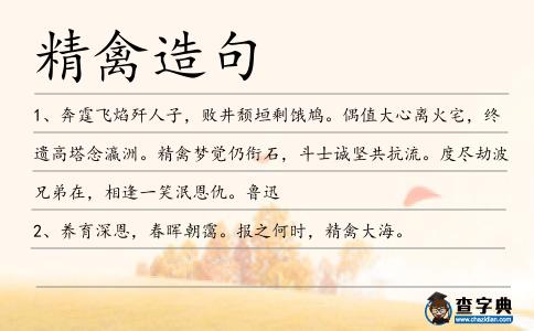 精禽造句