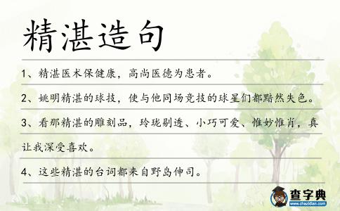 精湛造句