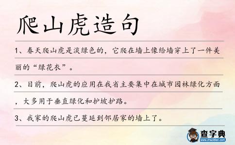 爬山虎造句