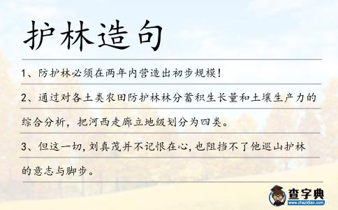 護林造句