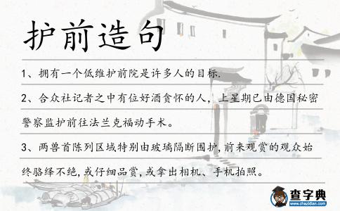 護前造句