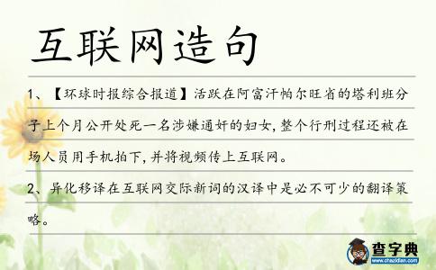 互聯(lián)網(wǎng)造句