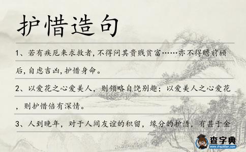護惜造句