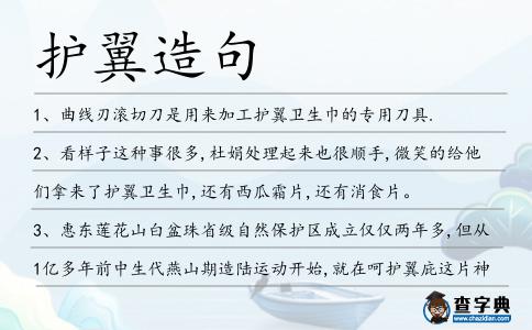護翼造句