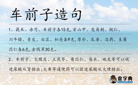 車前子造句