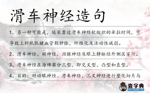滑車神經(jīng)造句