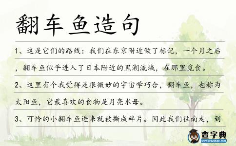 翻車魚造句