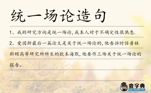統一場論造句