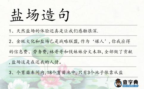 鹽場造句