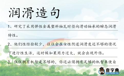 潤(rùn)滑造句